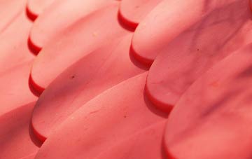 Maesypandy plastic roof costs