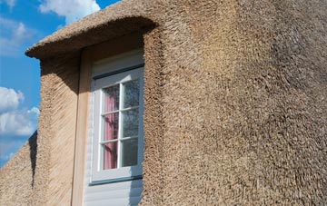 Maesypandy thatch roof disadvantages