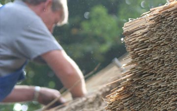 professional Maesypandy thatchers