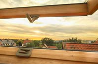 rated Maesypandy roof window companies